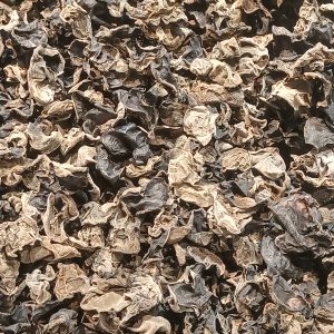 Champignons noirs 25 g