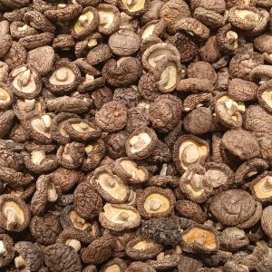 Champignons shiitakés au kg